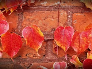 Parging Experts - Fall is the Best Time for Home Improvement Projects